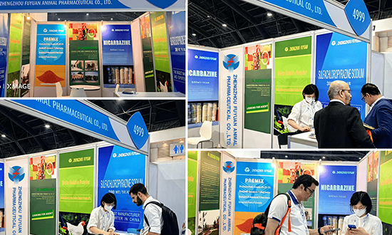 泰國曼谷國際工業(yè)展會(huì)｜陪同翻譯開始預(yù)定啦