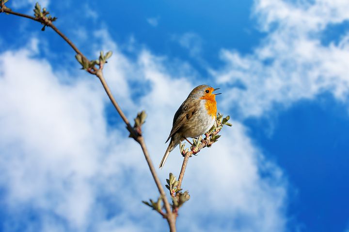 廣州<strong>同聲翻譯公司</strong>法律文件翻譯的標準